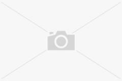 missing-image